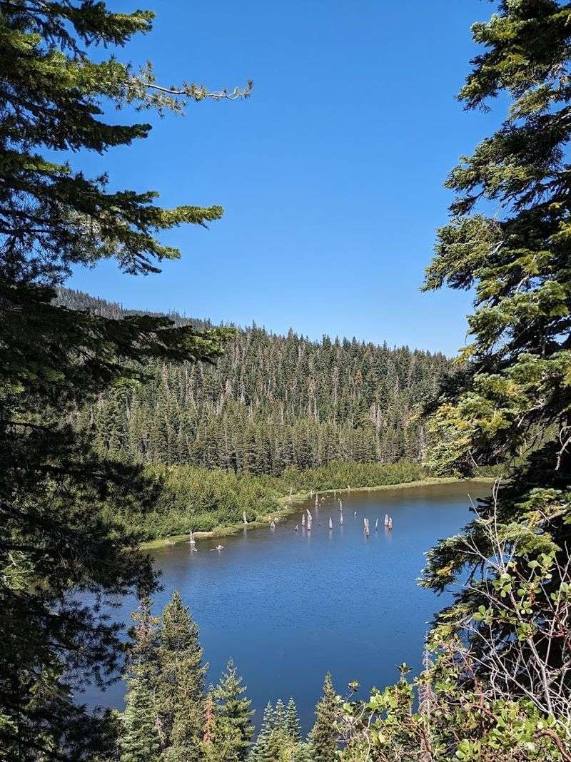 Swimming Holes and Alpine Lakes for Summer Fun