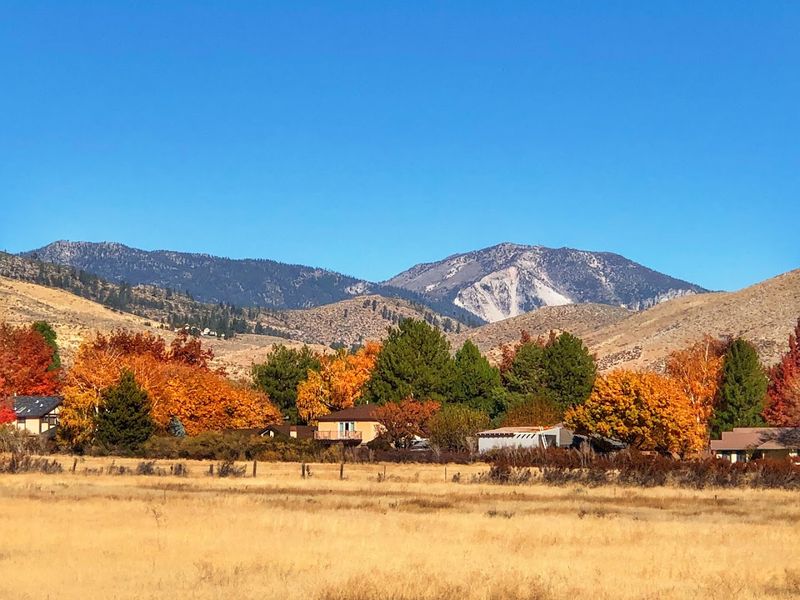 Mild Four-Season Climate