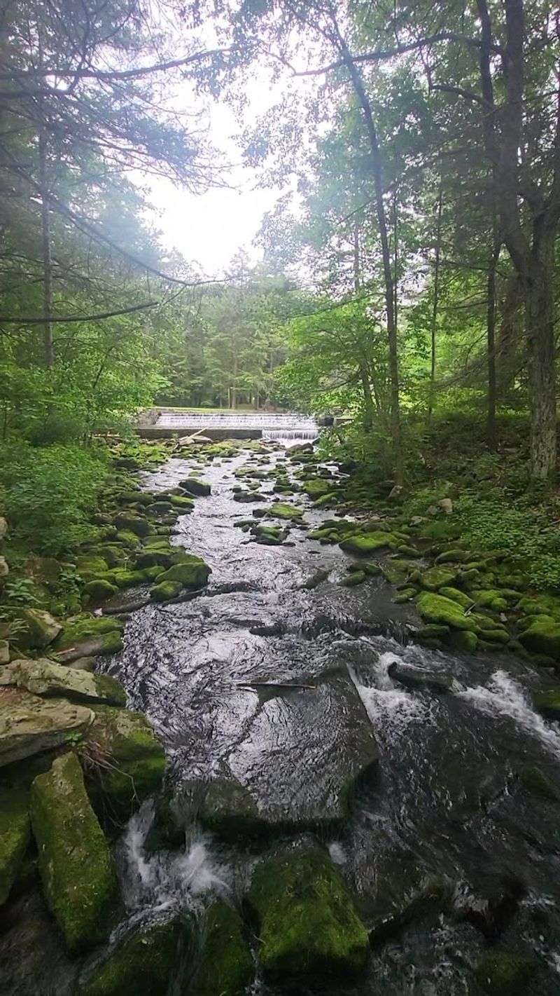 This Little-Known Pennsylvania State Park Feels Like Your Own Private Escape 11 Moss-Covered Rocks That Make the Park Feel Ancient and Mysterious