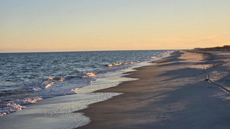 Shell Collecting Along Miles of Undisturbed Shoreline