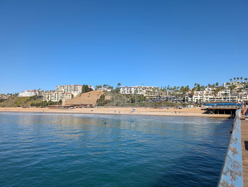 A Hub for Health and Wellness Living