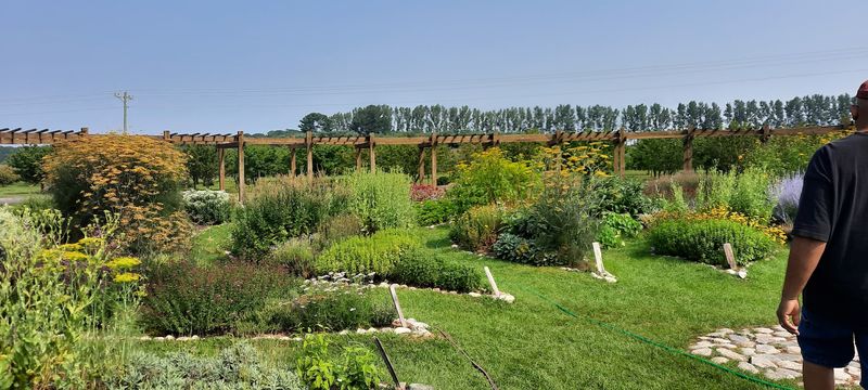 Why Visitors Keep Returning Year After Year