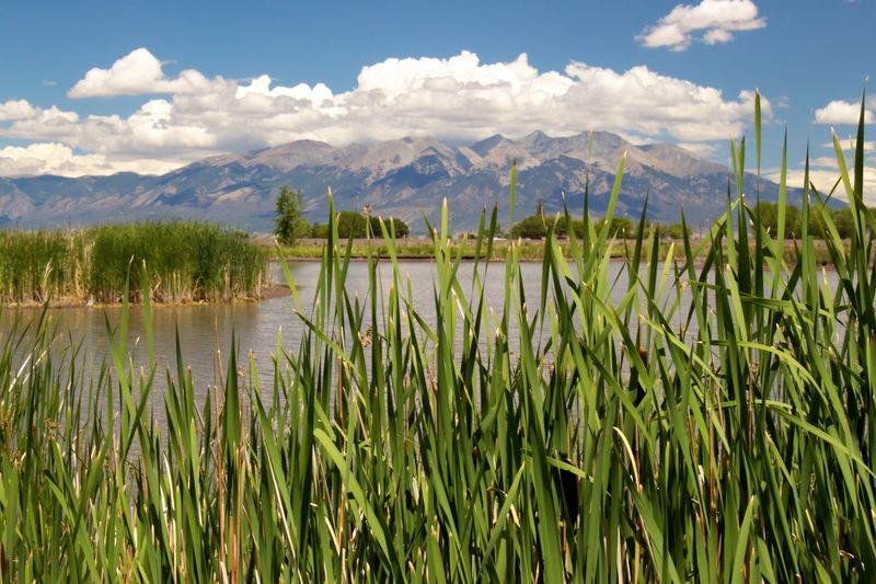 Sunny Weather Almost Every Single Day