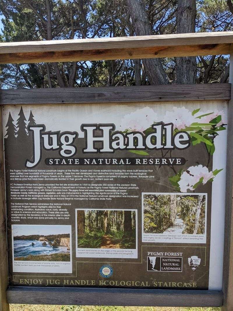 A small California state park that's simply too beautiful to keep secret 12 How to Get There and What to Expect When You Arrive