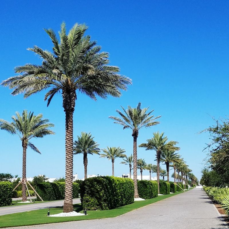 Family-Friendly Atmosphere With a Relaxed Pace