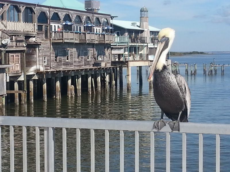 The working waterfront keeps the town grounded