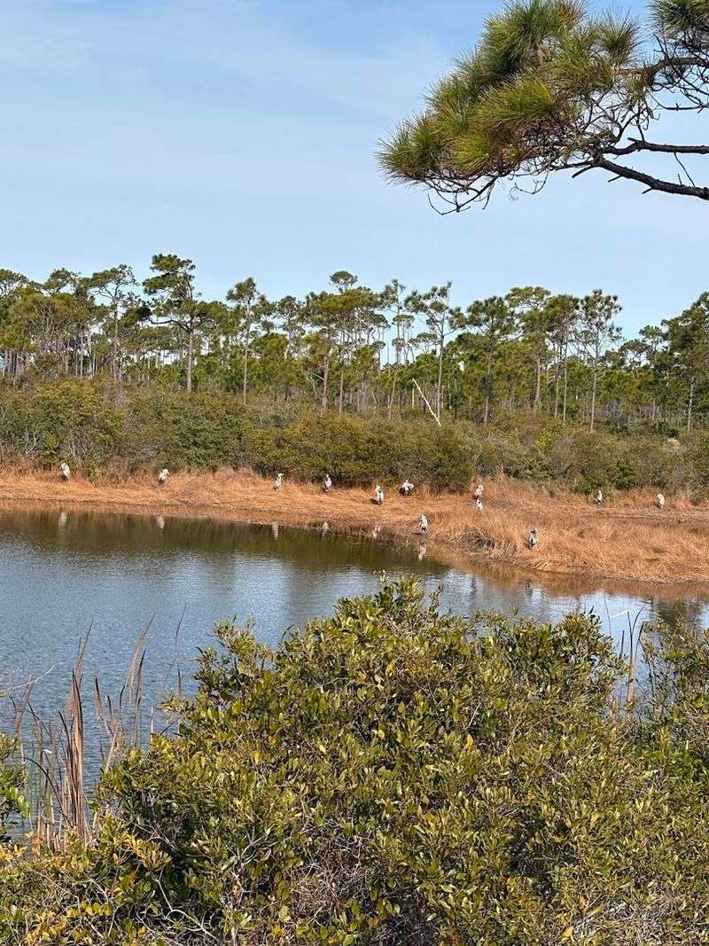 Kayaking and Paddleboarding in Calm, Scenic Waters