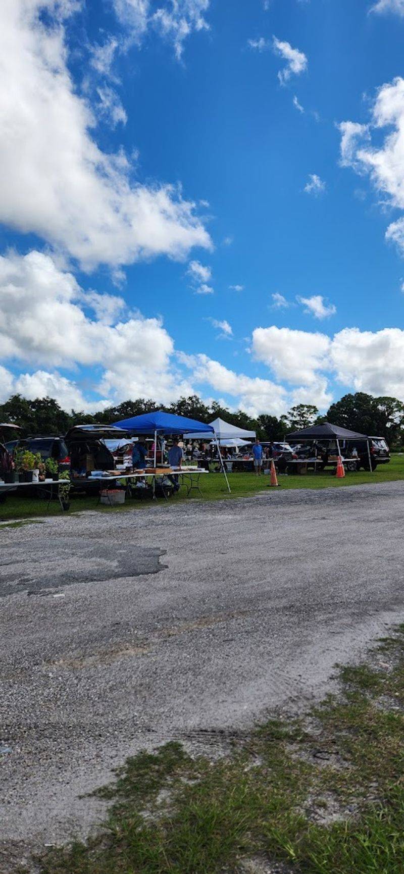 Freshly Squeezed Lemonade That Hits Different on a Hot Day