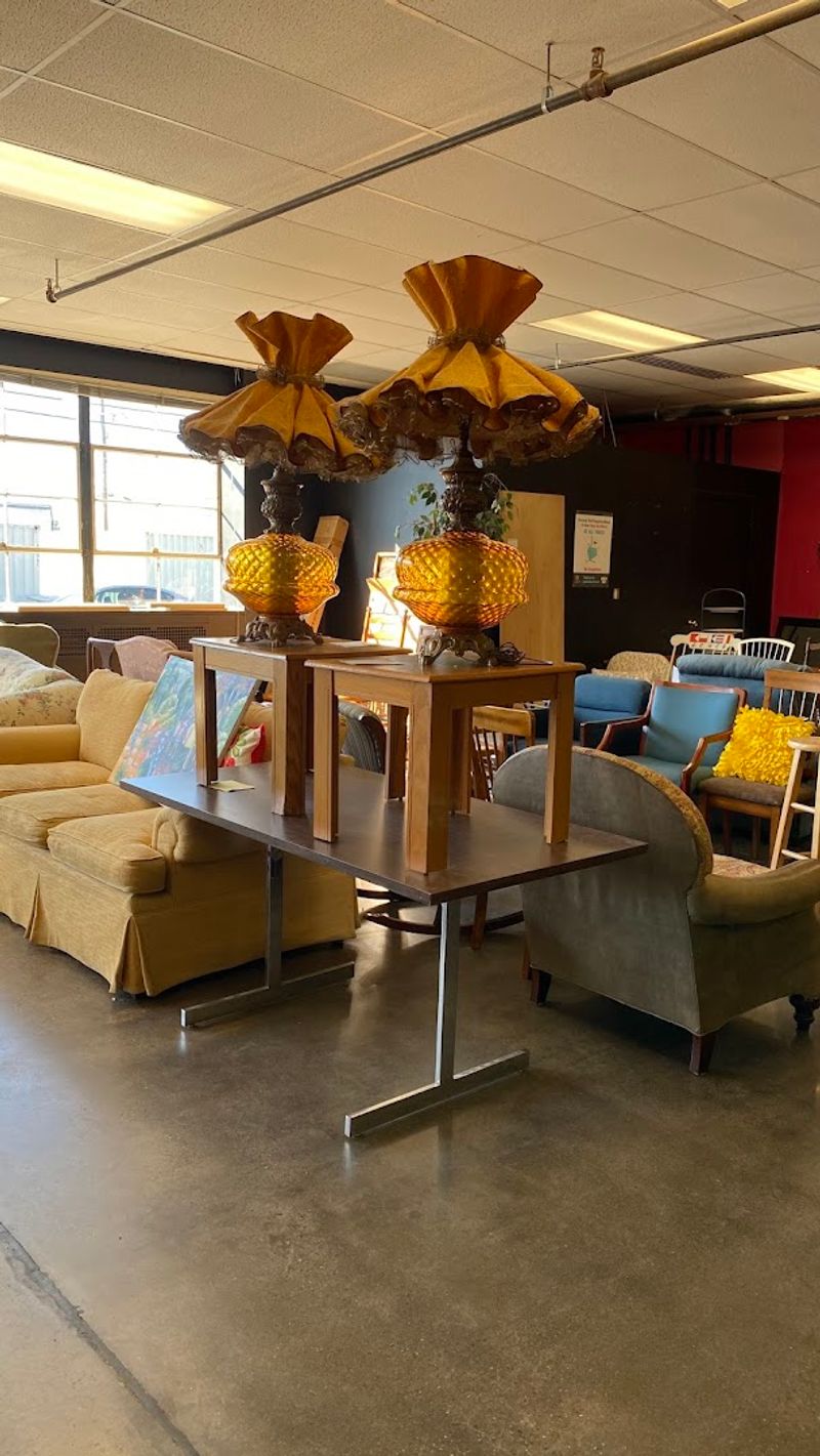 Sweaters and Cozy Knitwear