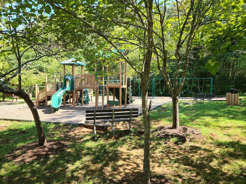 Picnicking and Relaxing at the Pavilion Area