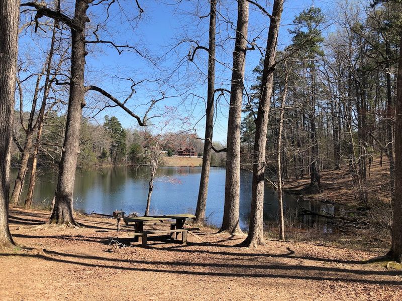 Picnic Areas with Shaded Lake Views
