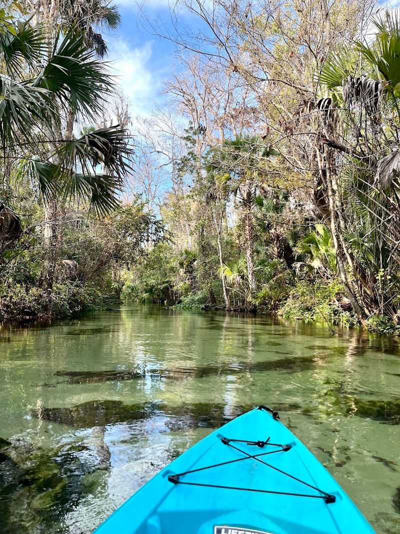 Wekiva State Park Connection: More Than Just a River