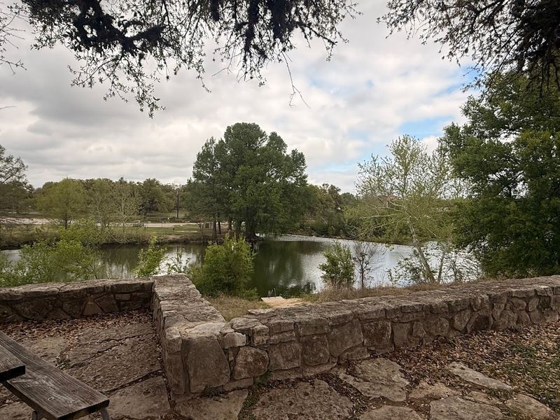 Camping Under Tall Shade Trees