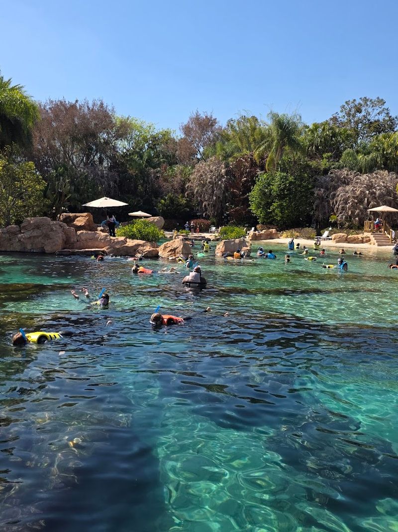 Wind-Away River: The Lazy River Experience