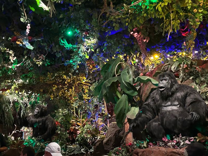 Rainforest Cafe - Lake Buena Vista, Florida