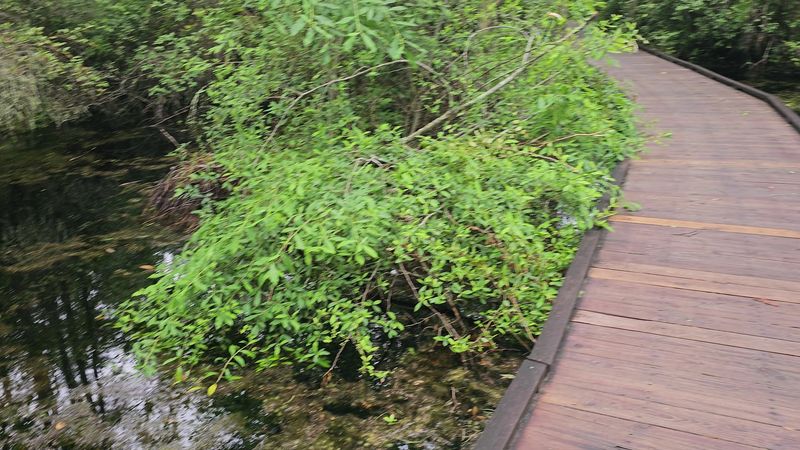 Bring bug spray, especially in warm months