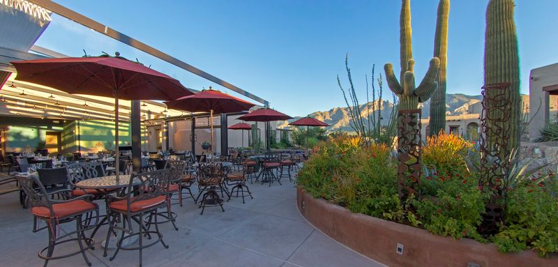 Terraza Garden Patio & Lounge - Tucson, Arizona