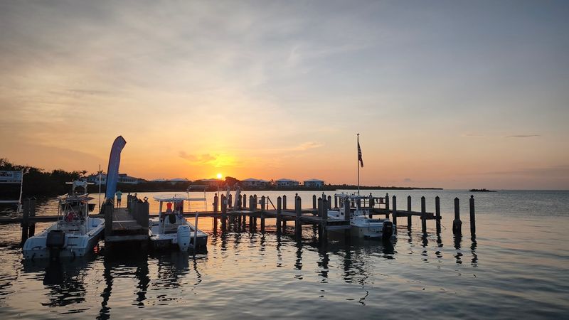 Tarpon and Nurse Sharks at the Dock