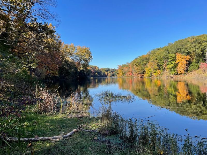 Kayaking and Paddle Boating on the Lake