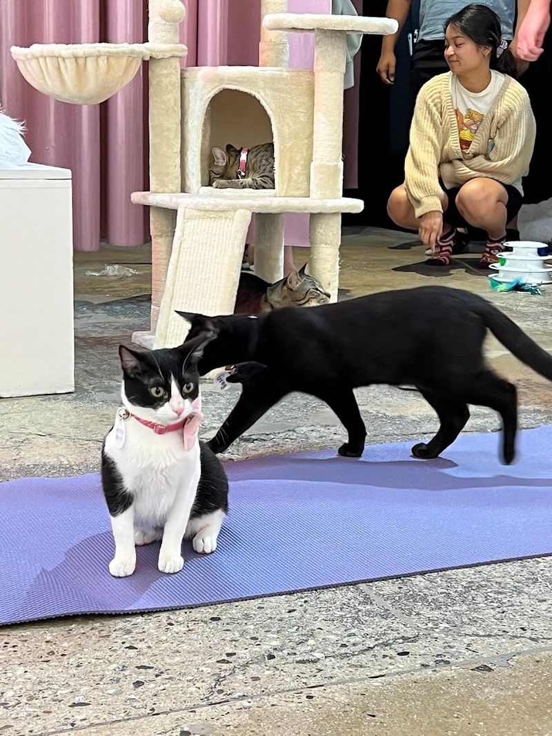 Free Polaroid Photo Keepsake