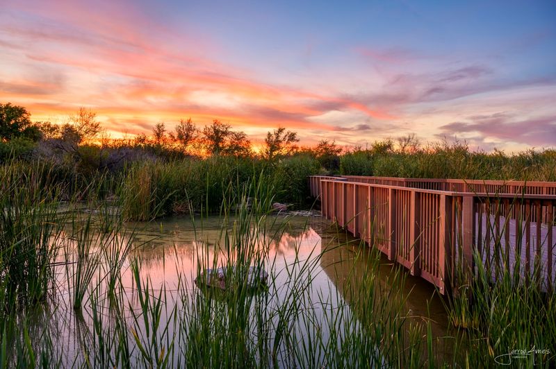 A Sunrise Walk That Smells Like Heaven