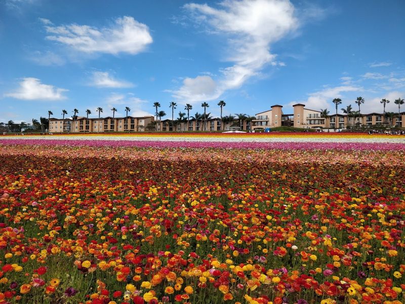 Best Time to Visit: March Through May