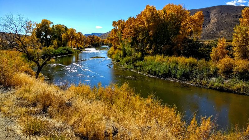 A peaceful Nevada town where your worries fade away 9 Carson River Valley Farmland Soothes the Soul