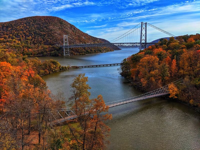 Fall Foliage That Stops You in Your Tracks