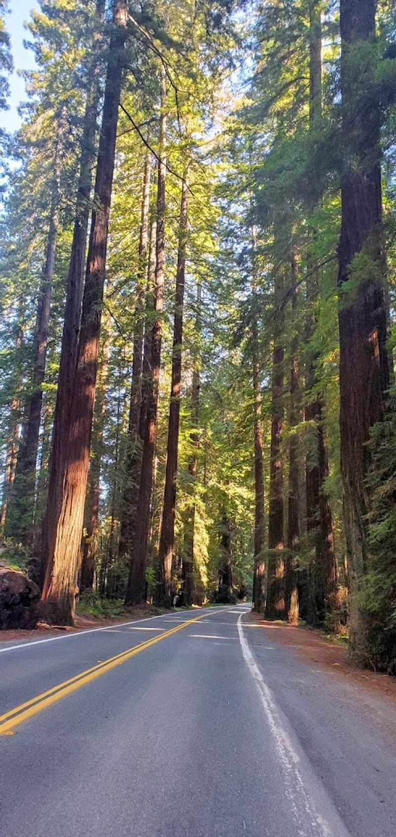 This 31-mile California drive feels like stepping into another world 13 Best Times of Year to Make the Drive