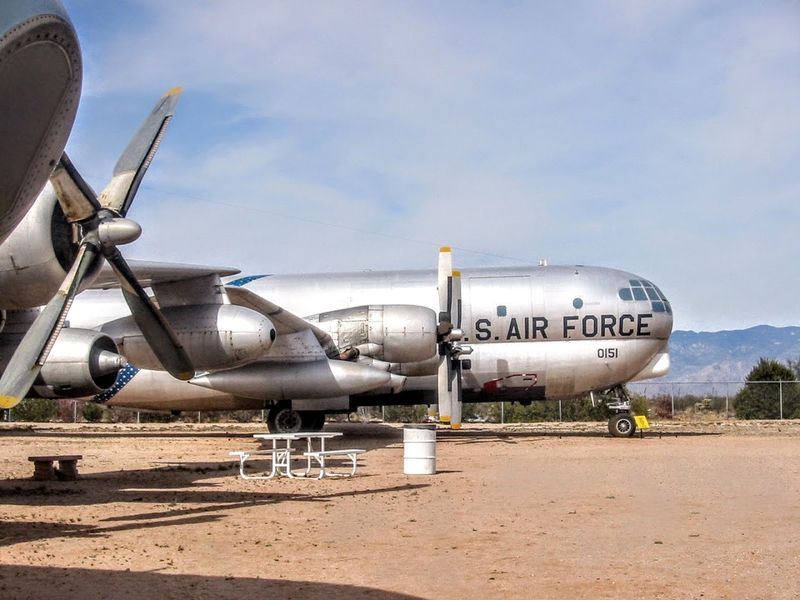 Tram Tour: The Smartest Way to Start Your Visit