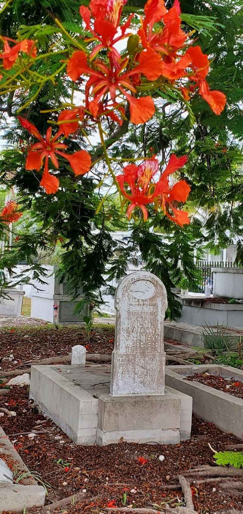 The Baby Section That Stays with You