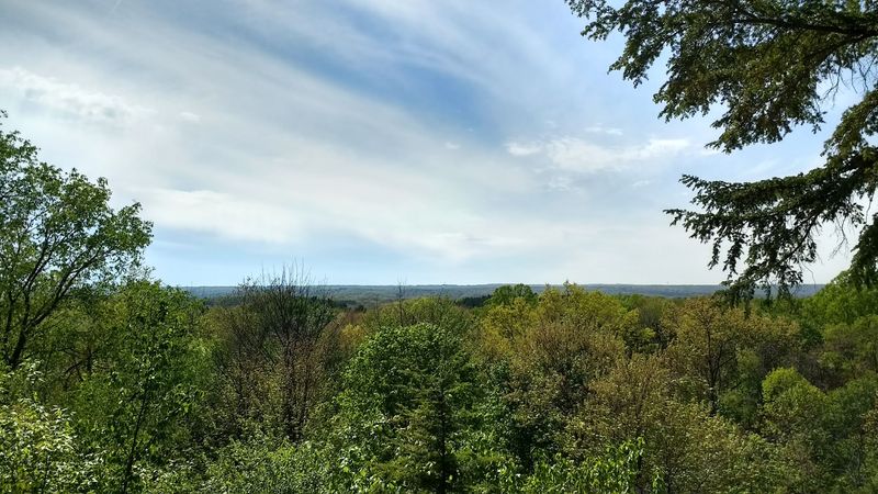 Panoramic Treetop Views From the Ledge