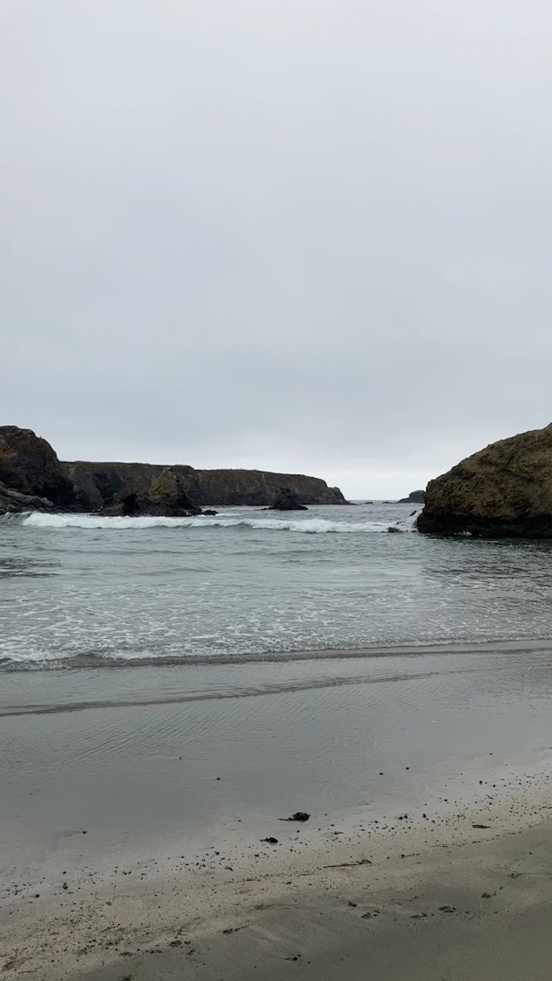A small California state park that's simply too beautiful to keep secret 5 Wildflowers That Paint the Headlands in Living Color