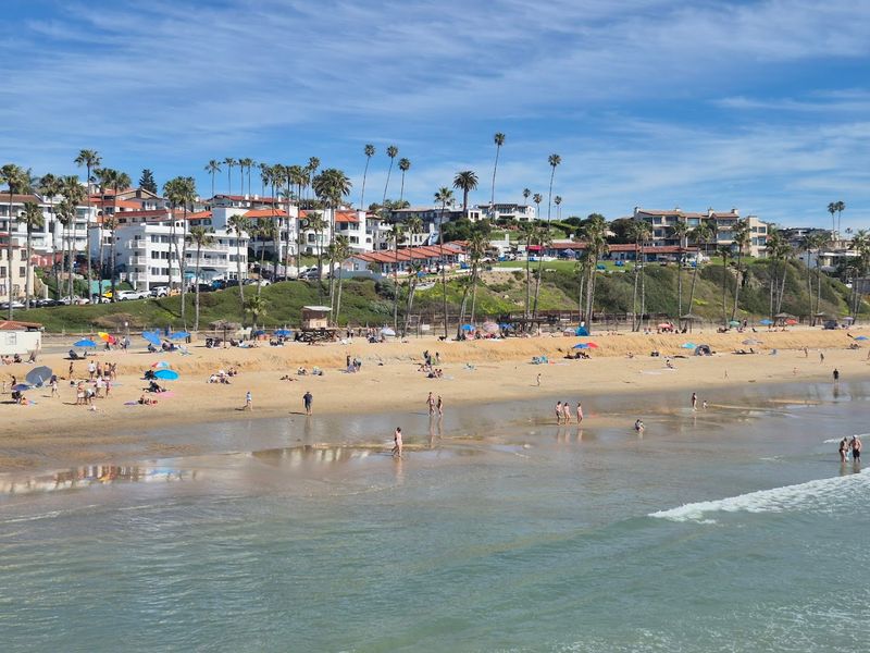 Year-Round Sunshine and Perfect Weather