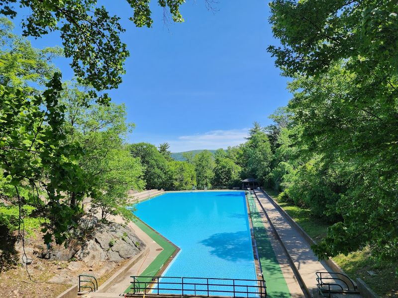 Swimming Pool and Seasonal Fun