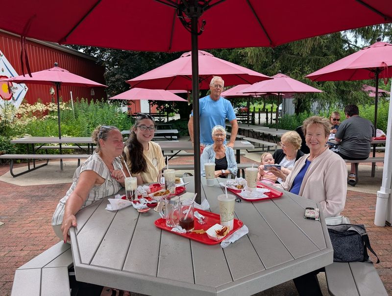 The Beautiful Picnic Garden Out Back