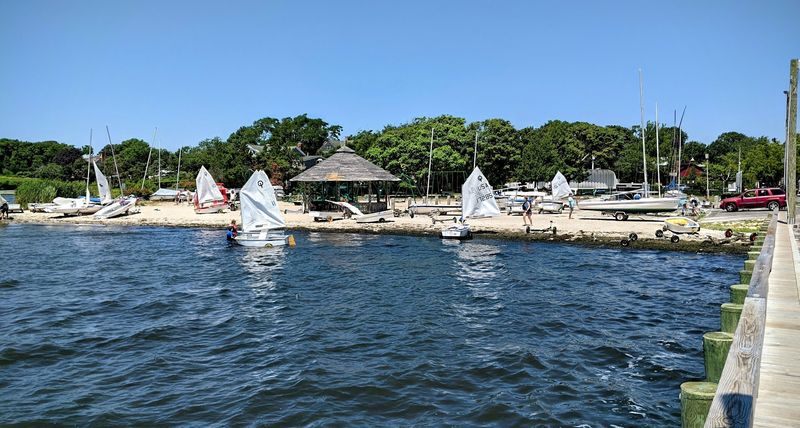 Wildlife and Nature Along the Great South Bay