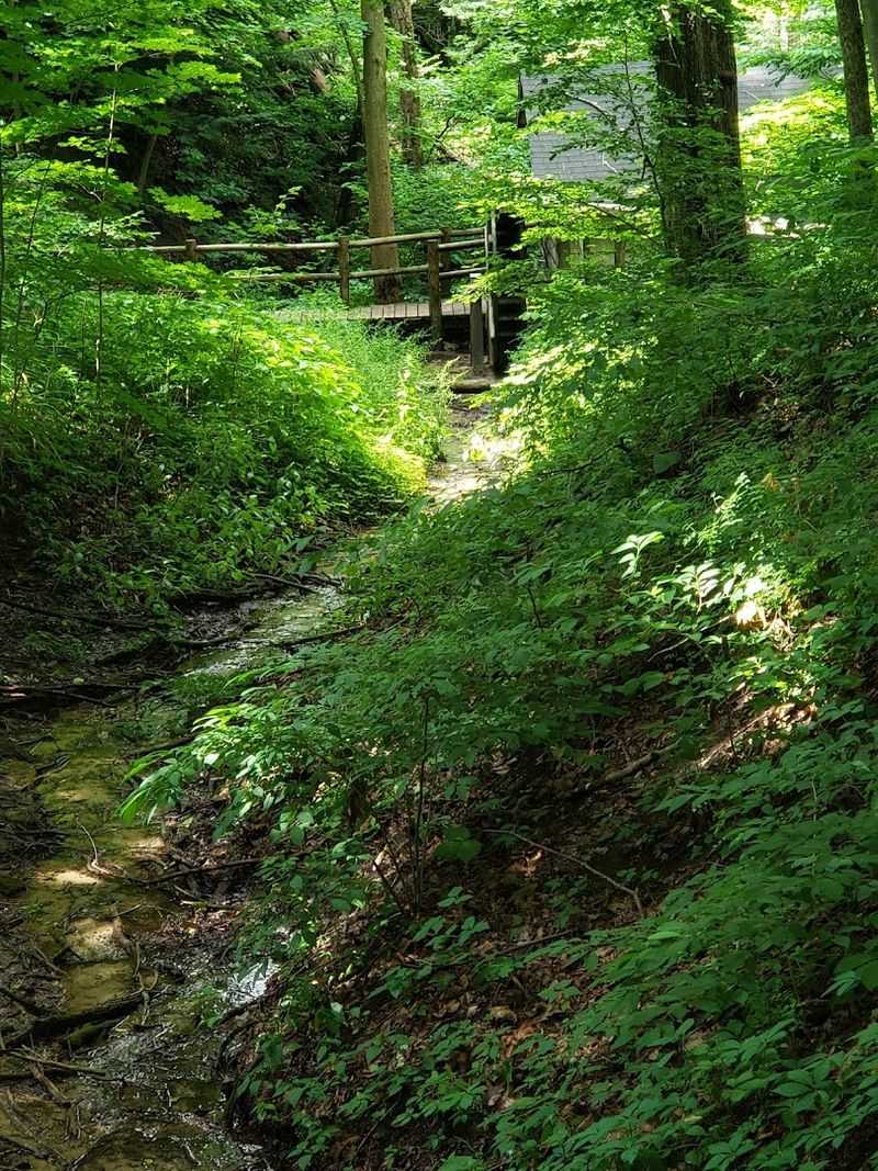 A Prairie Hidden in Plain Sight