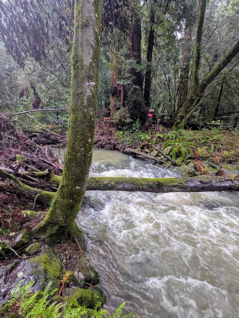 Getting There From San Francisco: Easier Than You Think