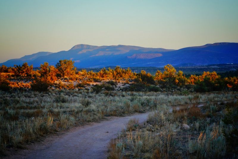 Verde Canyon Railroad