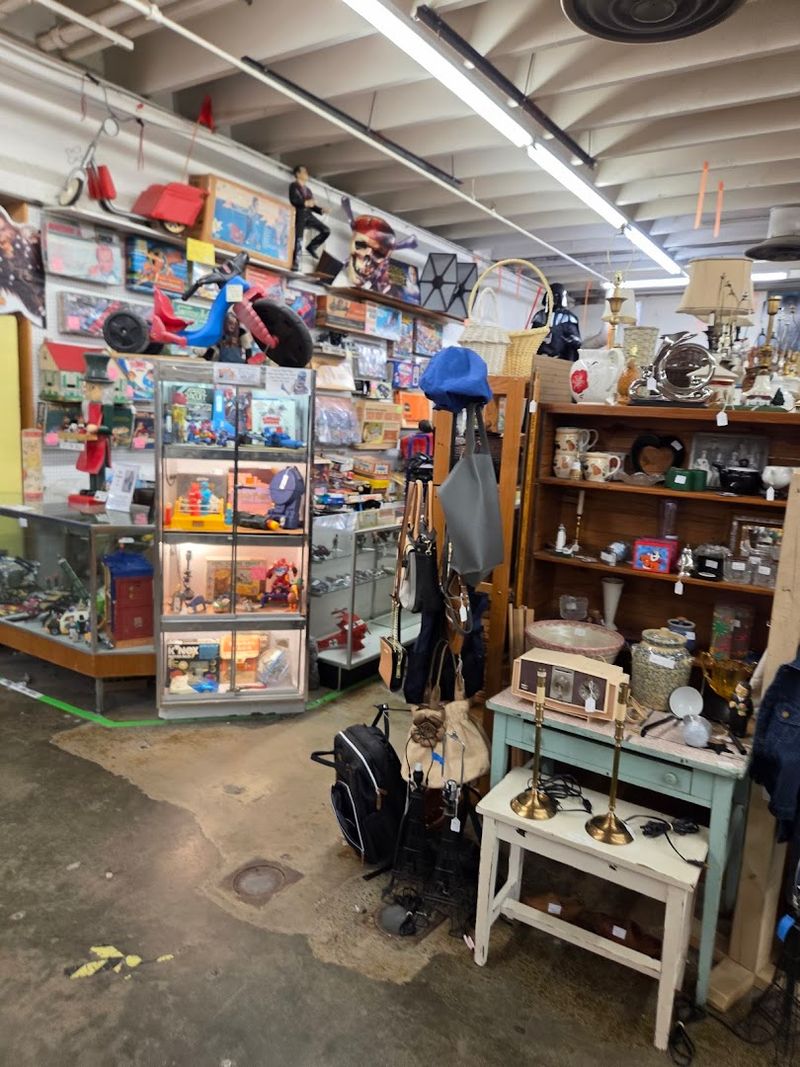 Collectibles for Every Type of Enthusiast