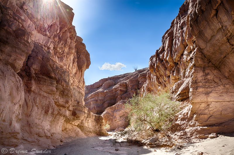 Slot Canyons and Geological Wonders