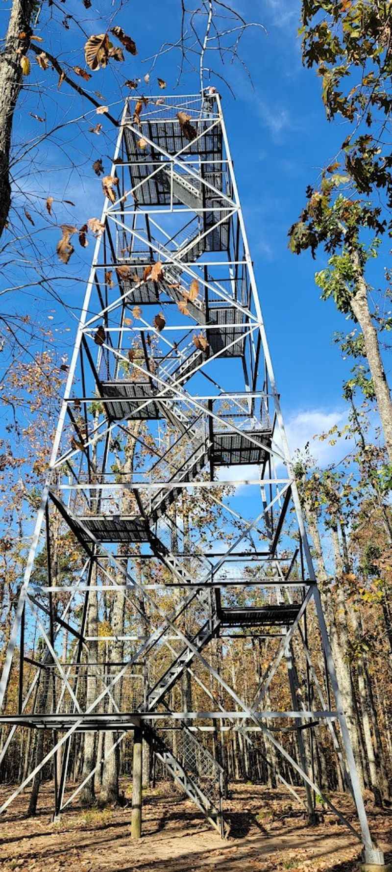 The Breathtaking Fire Observation Tower
