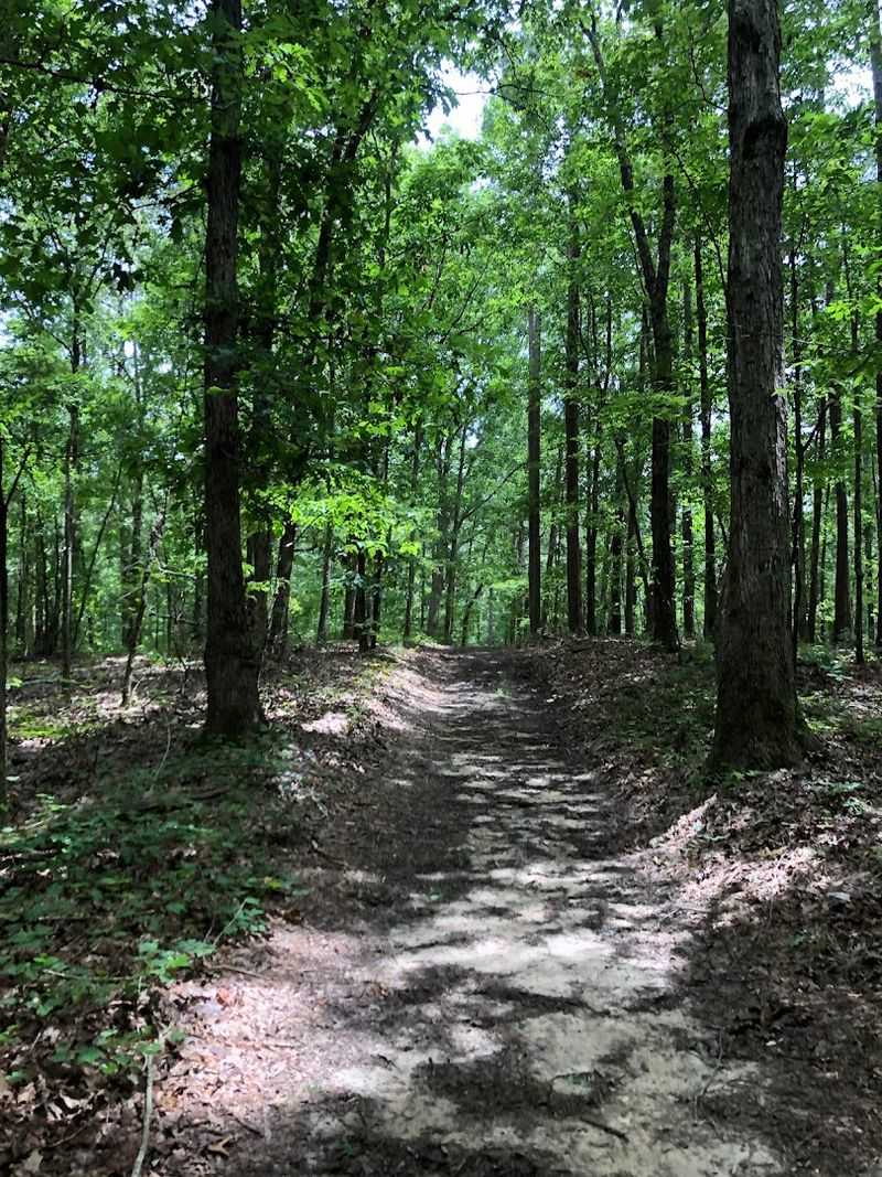 Miles of Scenic Hiking Trails