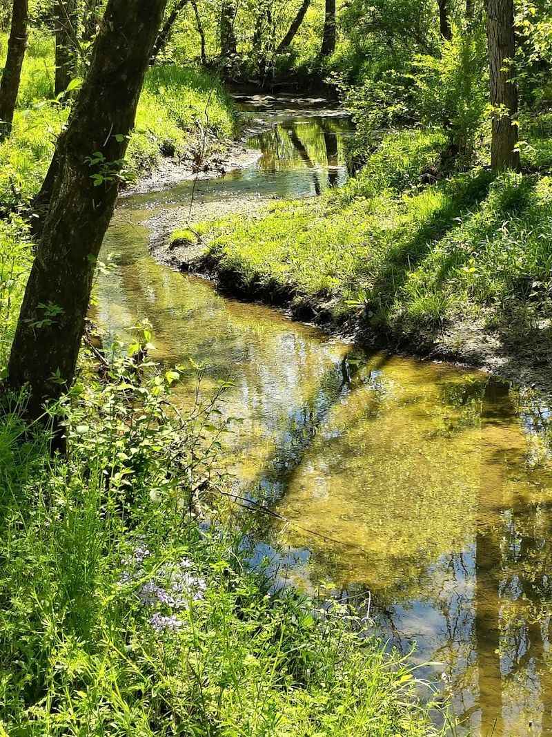 This Huge Thrift Store In Tennessee Takes Nearly A Full Day To See 9 A Nature Trail That Makes the Visit Extra Special