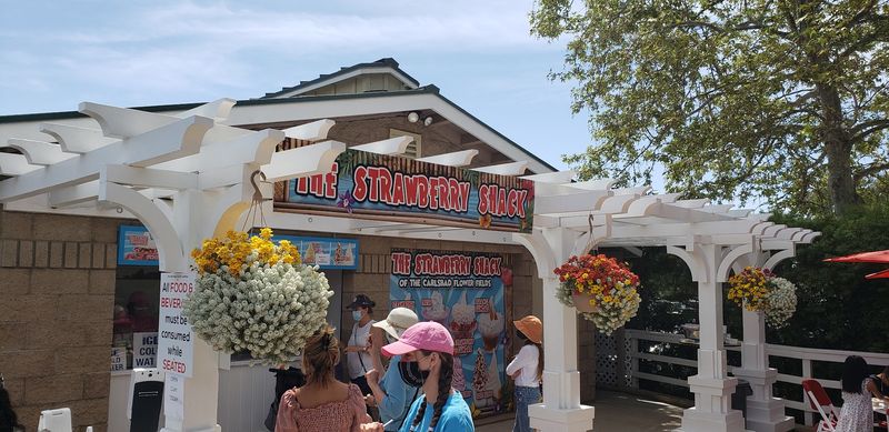 Food, Snacks, and Treats On Site