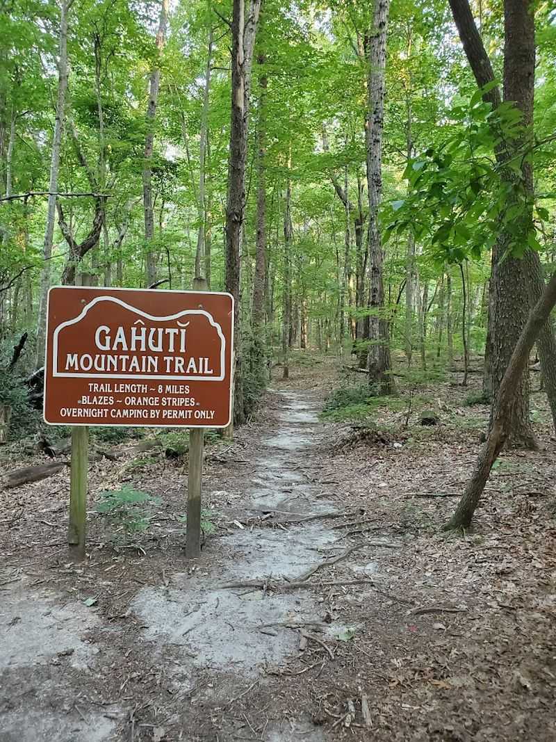 Hiking Trails for Every Skill Level