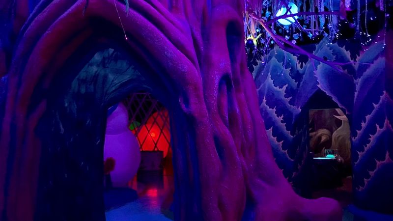 A Maze-Like Layout That Rewards Curious Explorers