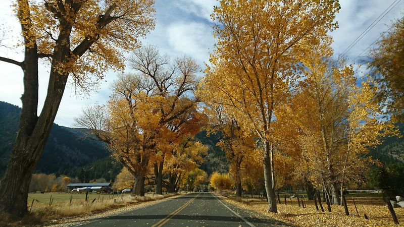 The Carson River Valley Setting