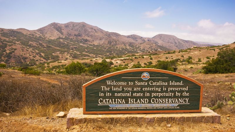The Catalina Island Eco Tour Experience